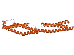 2odv: Crystal structure of a fragment of the plakin domain of plectin, Cys to Ala mutant.
