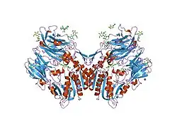 2oph: Human dipeptidyl peptidase IV in complex with an alpha amino acid inhibitor