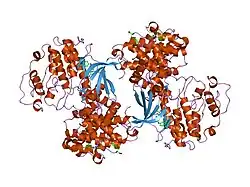 2uue: REPLACE: A STRATEGY FOR ITERATIVE DESIGN OF CYCLIN BINDING GROOVE INHIBITORS