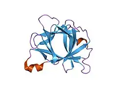 31bi: INTERLEUKIN-1 BETA (IL-1 BETA) (MUTANT WITH CYS 71 REPLACED BY SER) (C71S)