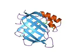 3cbs: CELLULAR RETINOIC ACID BINDING PROTEIN II IN COMPLEX WITH A SYNTHETIC RETINOIC ACID (RO-12 7310)
