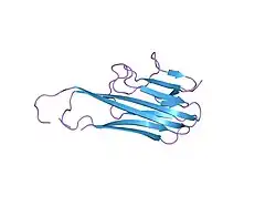 4tsv: HIGH RESOLUTION CRYSTAL STRUCTURE OF A HUMAN TNF-ALPHA MUTANT