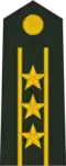 Colonel