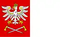 Flag of Gmina Czarny Dunajec