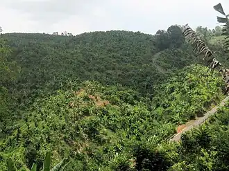 Cuesta de Magos as seen from barrio Calabazas, San Sebastián