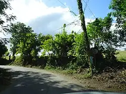 PR-501 south in Barrio Marueño