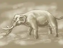Reconstruction
