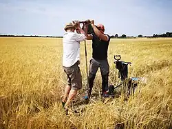 Two men in a field of wheat struggling to push a rod into soil.