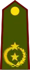 General de brigada (Paraguayan Army)[42]
