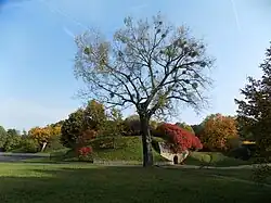 Cytadela Park in autumn