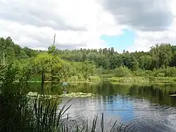 View of a body of water in the park
