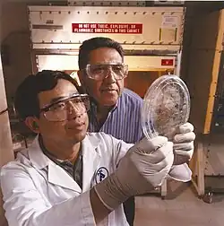 Researchers at Argonne National Laboratory examining a culture of induced pluripotent stem cells