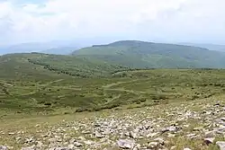 Looks like this Site of Community Interest has an image. Don't worry, you can take one of your own, and upload it too!