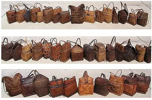 Pasiking specimens; photographed in Pt. Richmond, CA, in 2004