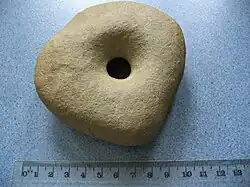 Example of a perforated stone found in Wrexham used in a macehead