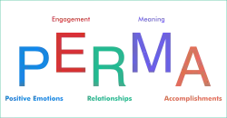 PERMA: Positive Emotions, Engagement, Relationships, Meaning and purpose, and Accomplishments.