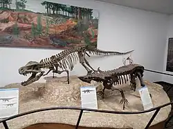 Two more skeletal remains of Triassic Period dinosaurs found in the Petrified Forest National Park