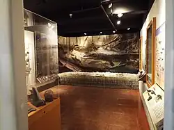 The Rainbow Forest Museum's Blue Room.