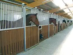 Freestanding stalls built inside a single large building