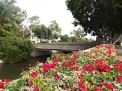 Arizona Biltmore Hotel bridge