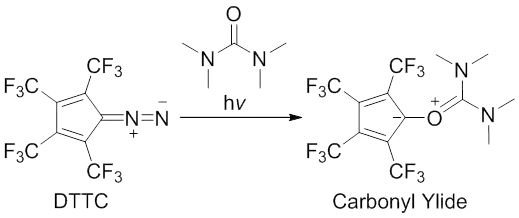Scheme 1. Photolysis of DTTC in the presence of tetramethylurea. Modified from Janulis, E. P.; Arduengo, A. J. J. Am. Chem. Soc. 1983, 105, 5929.