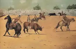 Apealando (heeling) a bull.