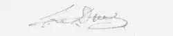 signature de Leduc