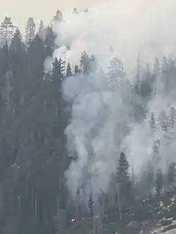 Flames from the Pika Fire on July 15, 2023