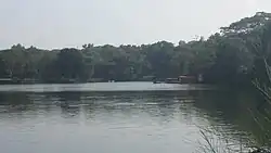 Pilikula Botanical Garden - Lake and Tree Cover