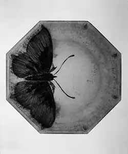 Plate, Amalric Walter and Henri Bergé, ca.1919-1925, glass, New-York, MET