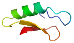 Cartoon representation of the secondary structure of plectasin.
