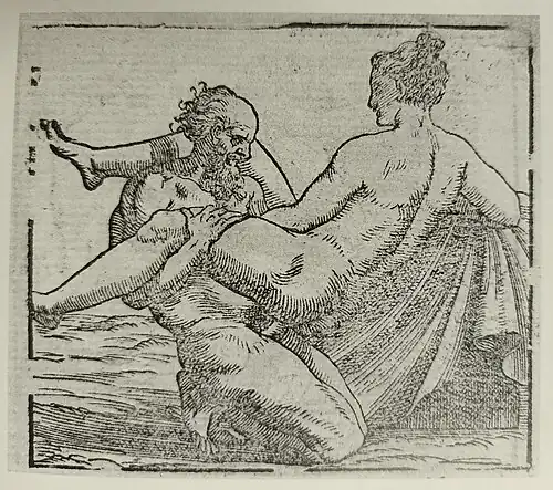 Image 16 woodcut booklet. In the Fossombrone sketchbook there are two drawings of sexual scenes and it is speculated that the figures in these drawings have similar postures to the figures in image 16 from the woodcut booklet.[27][28] A second idea is that "...these drawings [in the fossombrone sketchbook] while fascinatingly similar to the Modi, differ even more significantly from anything in the visual remains of those prints, as well as from each other in composition and perhaps graphic style."[28]