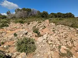 The Pou de la Calella sinkhole on Alt de la Pedrosa. This aven has a depth of at least 50 metres, and is the deepest sinkhole in this area.[2]