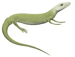 Artist's reconstruction of Protorothyris