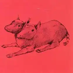 CD cover for Quasi's Early Recordings album.