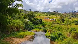 Río Grande de Manatí from PR-802 bridge