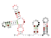 Flavi_ISFV_repeat_Ra_Rb Secondary structure taken from the Rfam database. Family RF03542