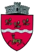 Coat of arms of Bogdănești