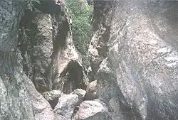 Looks like this Site of Community Interest has an image. Don't worry, you can take one of your own, and upload it too!