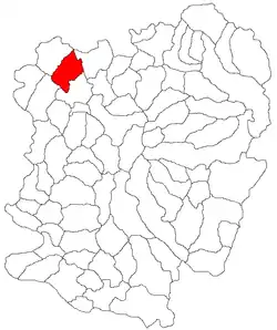 Location in Caraș-Severin County