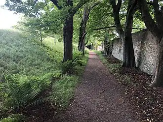 Ha-ha in Regent Gardens, planted with horse chestnuts