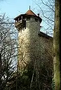Reichenstein Castle
