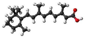 Ball-and-stick model of the retinoic acid molecule