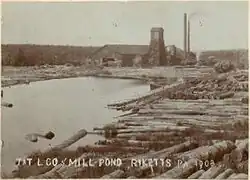 Sepia-tone photo of a pond surrounded by large logs. At the far end of the pond is a large building with a square tower and two smokestacks. Label is "T&T L CO MILL POND RICKETTS PA 1903" (i.e. Trexler and Turrell Lumber Company Mill Pond&nbsp;...)