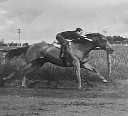 Eva Ring is breezing a racehorse.