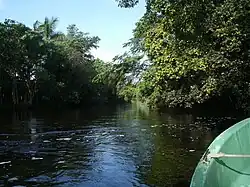 Mangrove forest along Hatiguanico river in the Zapata Swamp, province of Matanzas.