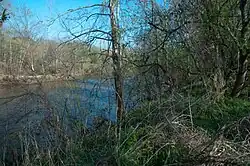 A view of the Rivanna River in Shadwell