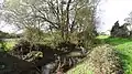 River Colne in Colney Heath