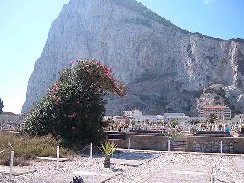 Rock of Gibraltar viewed from graveside