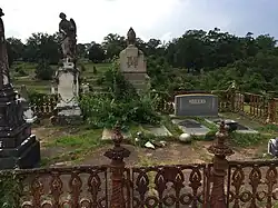 The Jones family plot